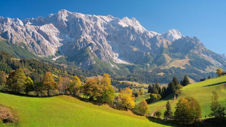 Private Tour From Salzburg To Vienna And Back In English Tour Overview