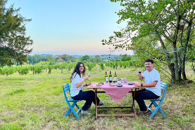 Private Tour In 2cv In The Vineyards With Tasting And Picnic Tour Overview