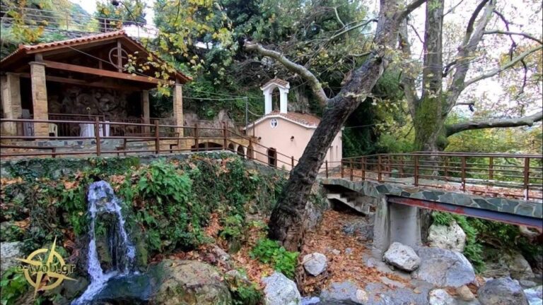 Private Tour In The Chestnut Forest Of Steni Evia Tour Overview And Details