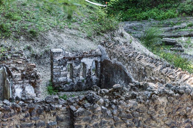 Private Tour of Pompeii Ruins + Organic Wine and Lunch Tasting - UNESCO World Heritage Site