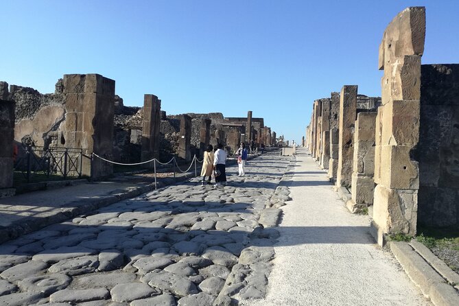 Private Tour of Pompeii. Visit of the Roman Villas Recently Opened to the Public - Highlights of Pompeii Excavations