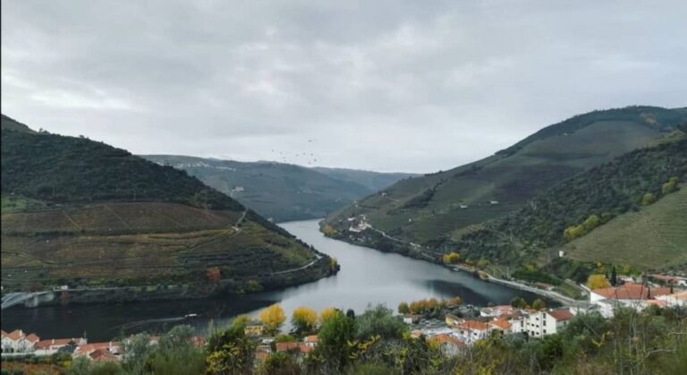 Private Tour Of The Douro Douro Valley Wonders