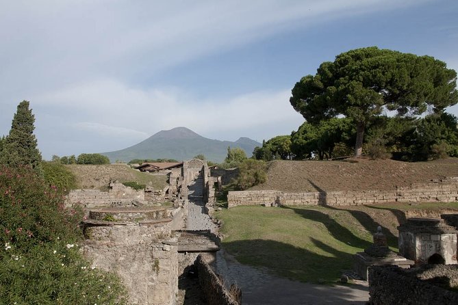 Private Tour Pompeii Vesuvius And Winery From Sorrento Overview Of The Private Tour