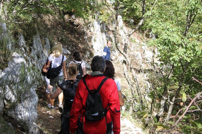 Private Tour: Truffle Hunting Experience From Sorrento With Lunch Physical Requirements