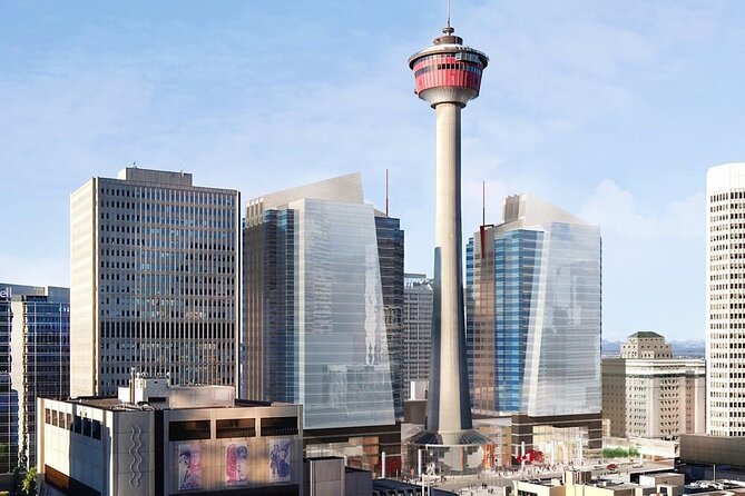 Private Transfer From Calgary to Calgary Airport YYC in Business Car - Vehicle and Amenities