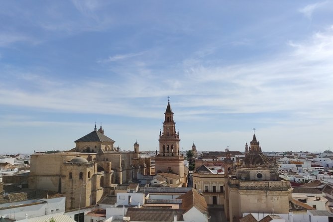 Private Visit to Carmona and Its Main Monuments - Overview of Carmona