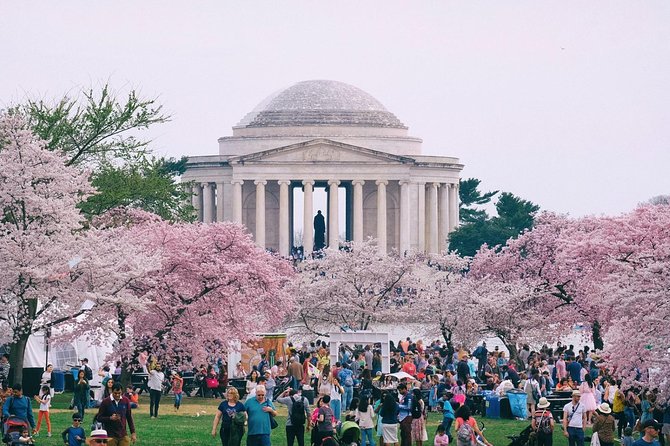 Private Washington DC City Tour - Inclusions