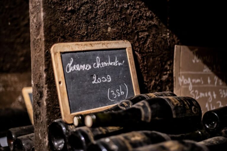 Private Wine Tour In Cote De Nuits And Cote De Beaune Tour Details