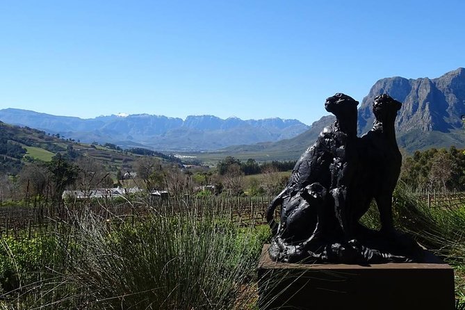 Private Wine Tour With Wine Expert to Stellenbosch-Franschhoek Wine Regions - Overview of the Wine Tour