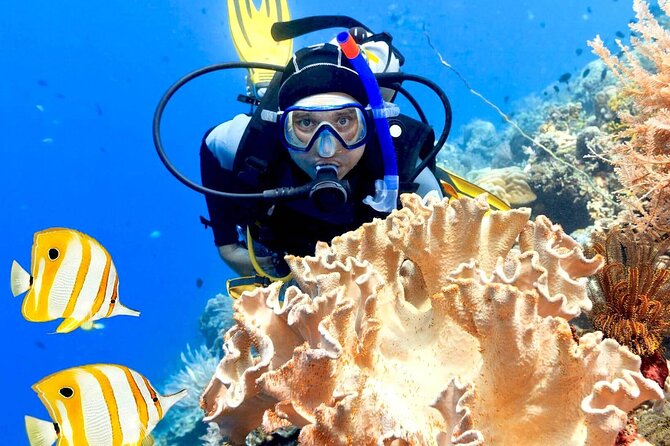 Professionals Scuba Diving 2 Stops Full Day Sea Trip Hurghada Tour Details