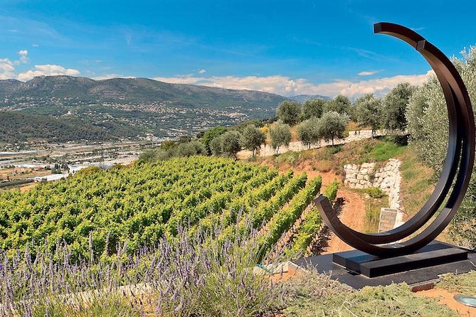 Provence Organic Wine Small Group Half Day Tour With Tastings From Nice Overview Of The Tour