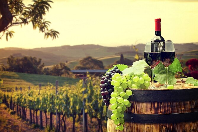 Provence Organic Wine Tasting Half Day Tour From Nice Pickup And Transportation