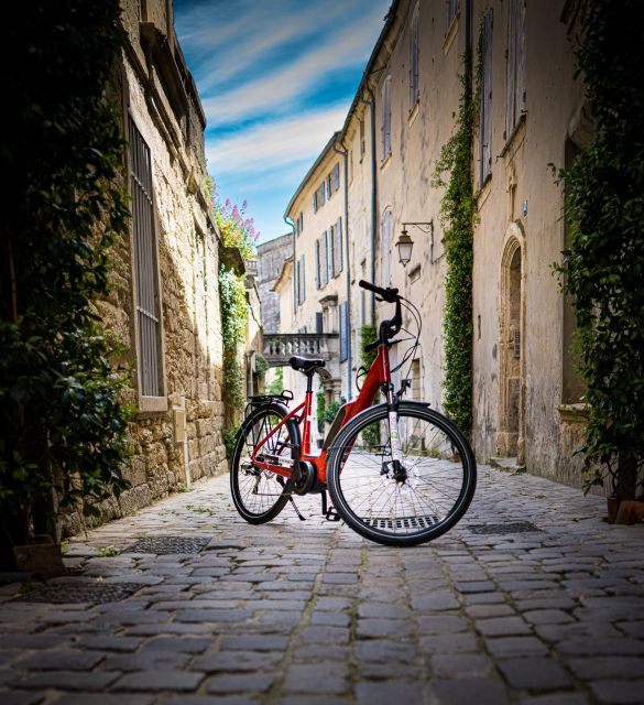 Provence: Picnic In The Middle Of A Vineyard E Bike Ride Through Provence