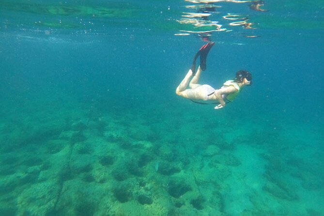 Public Guided Snorkel Tour Of Fort Lauderdale Reefs Tour Overview And Highlights