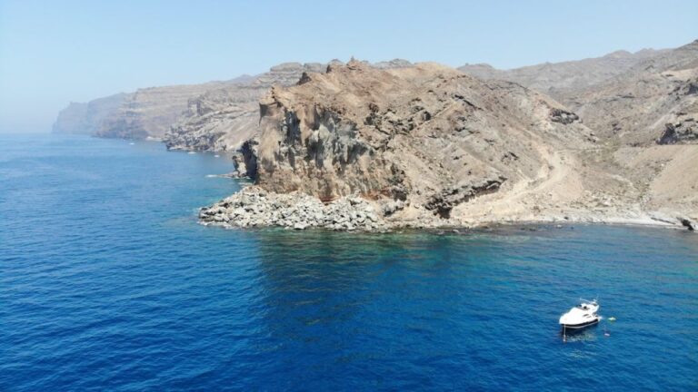 Puerto De Mogan: Dolphin Boat Trip Trip Overview And Details