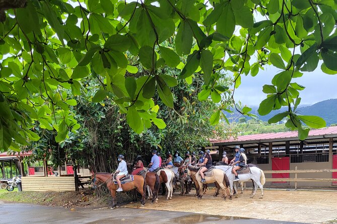 Puerto Rico Beach Horseback Riding Guided Tour Experience Overview