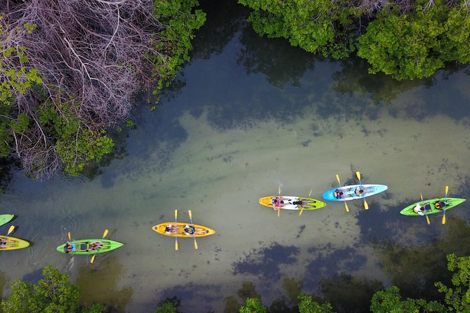 Puerto Rico Bio Bay Kayak Adventure Tour - Whats Included