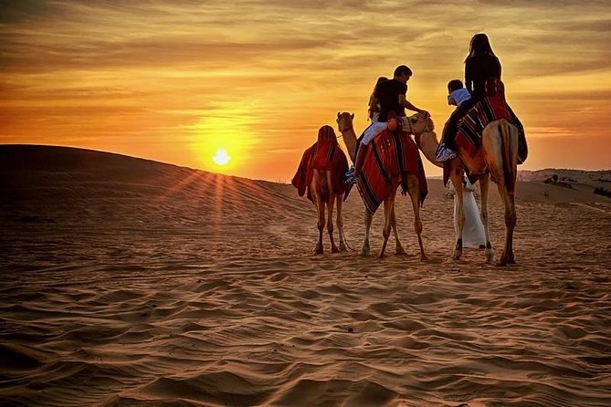 Quad Bike Self-drive & Camel Trekking Experience In Red Dunes Desert - Experience Overview