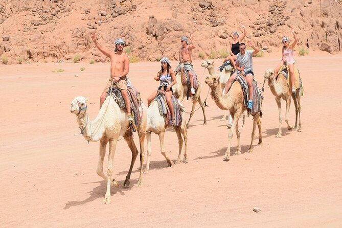 Quad Biking Safari-Camel Ride-Bedouin Dinner and Shows From Sharm - Included Amenities