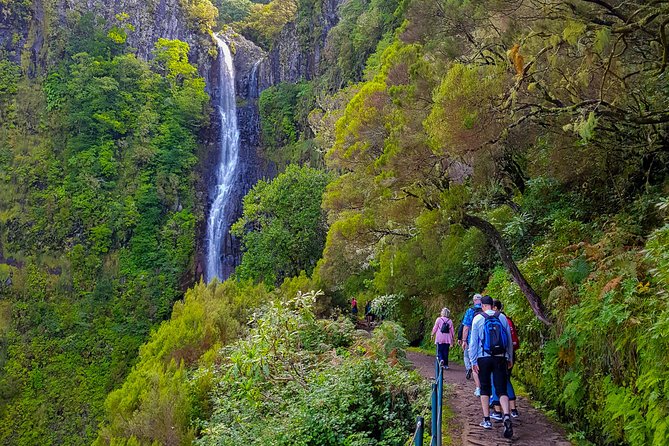 Rabacal 25 Fountains Levada Walk in Small Groups - Overview of the Hike