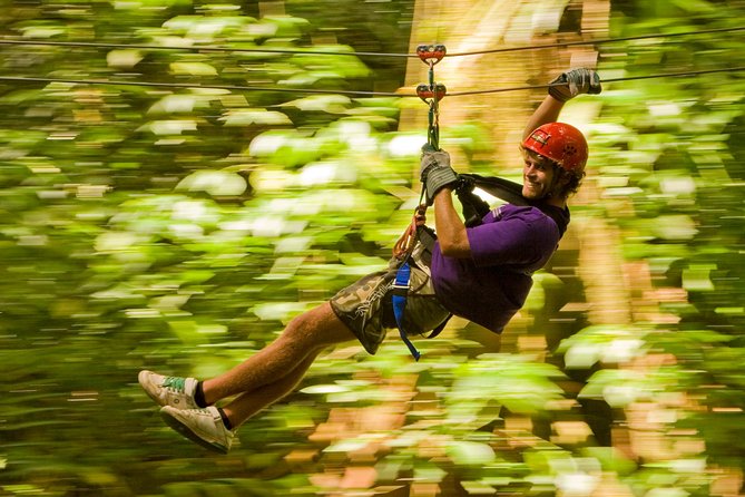 Rainforest Canopy Adventure From Vieux Fort Or North Island, St Lucia Meeting And Pickup Details