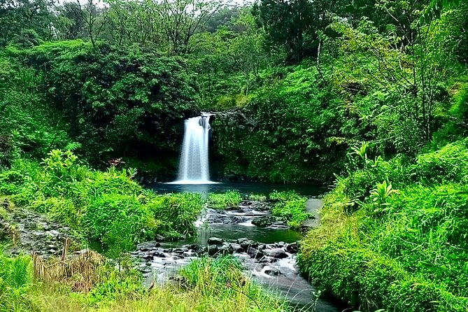 Rainforest Tour To Hana And Beyond Tour Overview