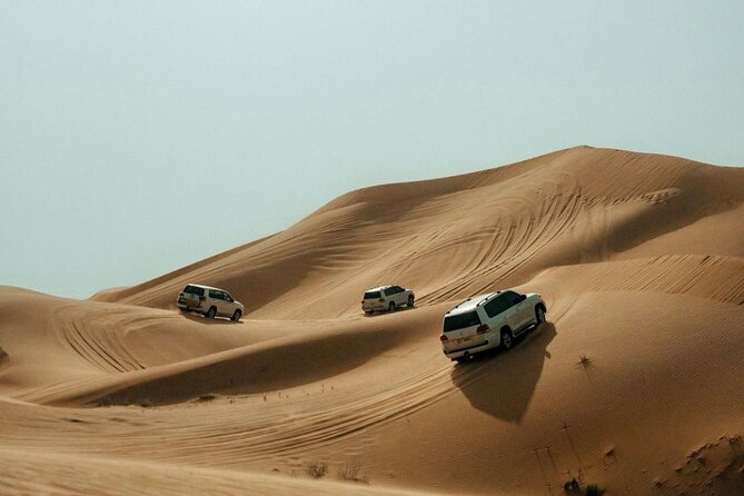 Red Dune Desert Safari Tour With Camel Ride And Bbq Experience . Overview Of The Tour