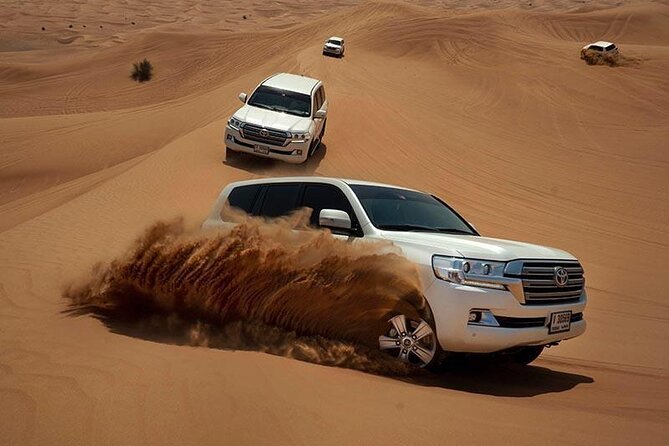 Red Dunes Safari With Bbq Dinner Tour Overview