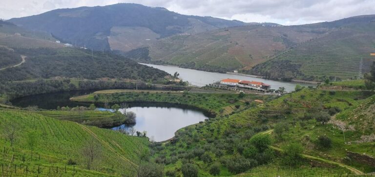 Reduced Mobility Visit The Douro Valley From Porto Tour Duration And Type