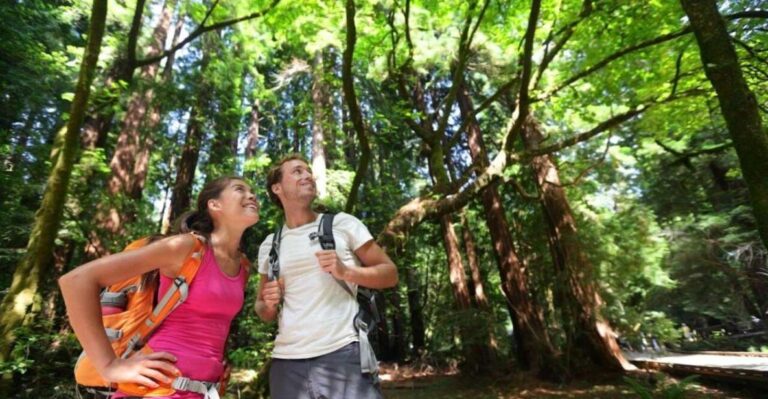 Redwood Retreat: Tour To Muir Woods From San Francisco Tour Details