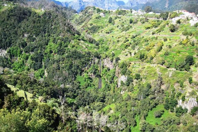 Referta Castelejo Levada Walk From Funchal Tour Details