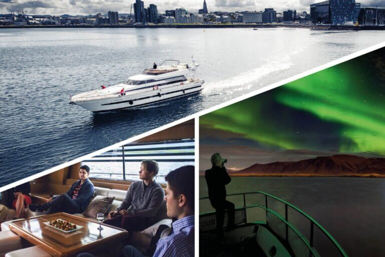 Reykjavik: Northern Lights Motor Yacht Cruise Overview Of The Northern Lights Cruise