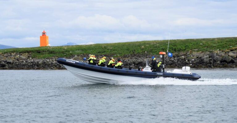 Reykjavik: Puffin Watching Tour By Rib Speedboat Tour Overview