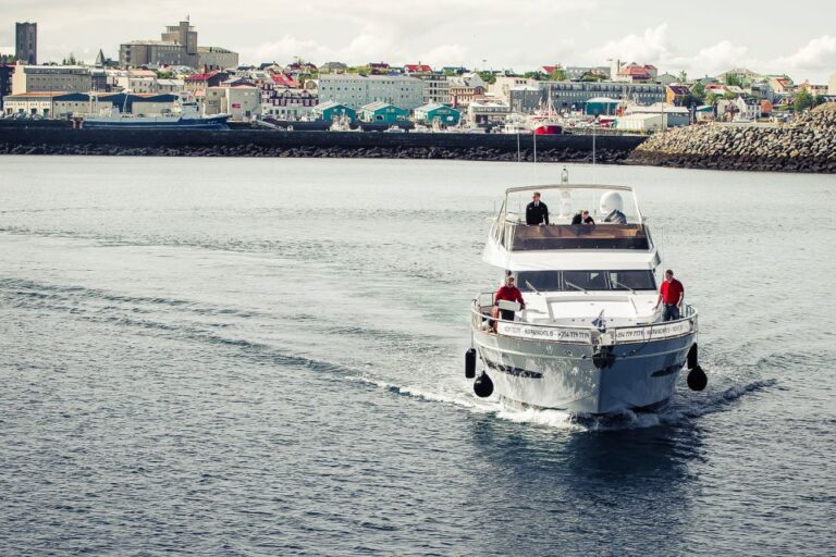 Reykjavik: Whale Watching And Dolphin Watching Yacht Cruise Overview Of The Yacht Cruise