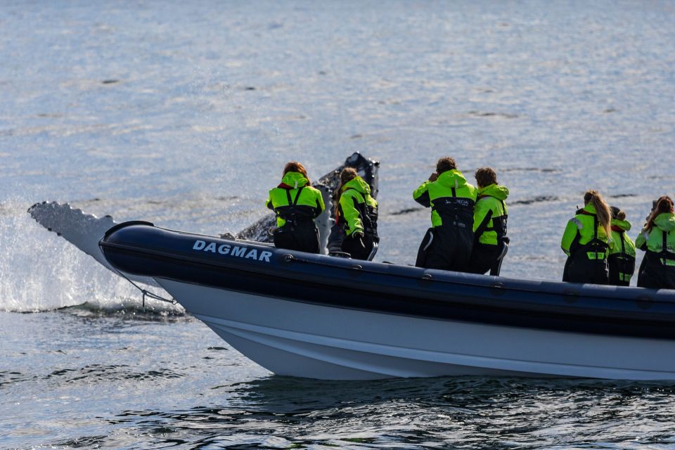 Reykjavik: Whale Watching Tour by RIB Boat - Tour Duration and Inclusions