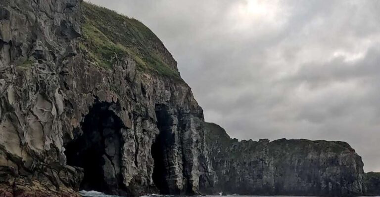 Ribeira Grande: Coastline Boat Tour | Porto Formoso Overview Of The Coastline Boat Tour