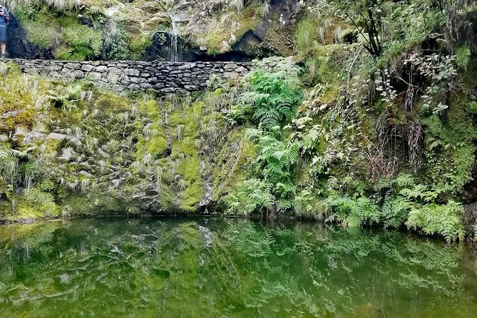 Ribeiro Frio - Portela - Guided Levada Walk Experience