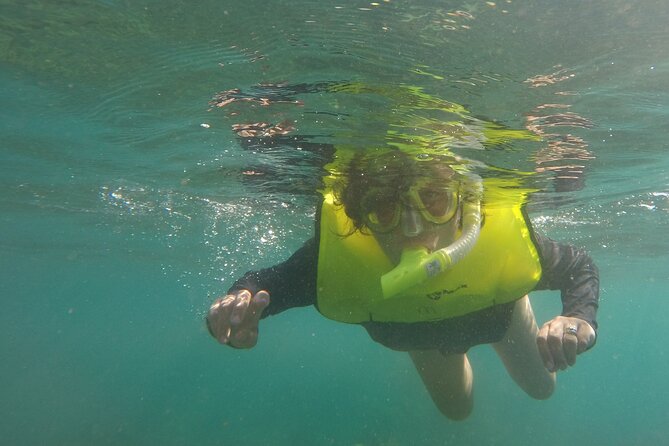 Rincon Snorkeling Adventure - Inclusions and Equipment