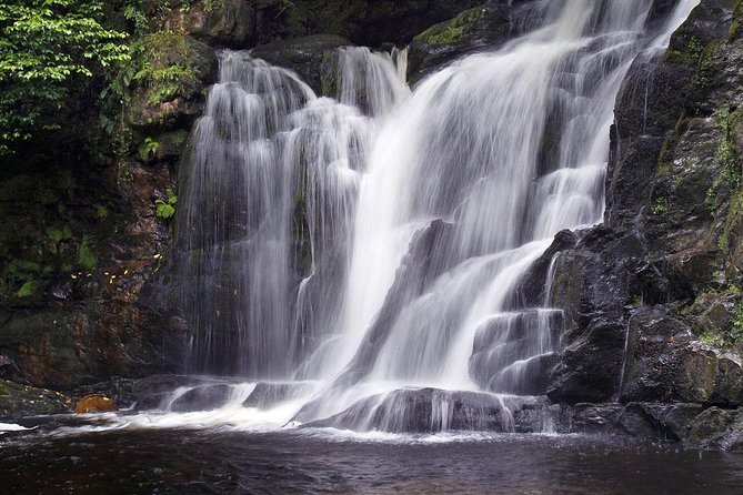 Ring of Kerry Day Tour From Limerick: Including Killarney National Park - Included in the Tour