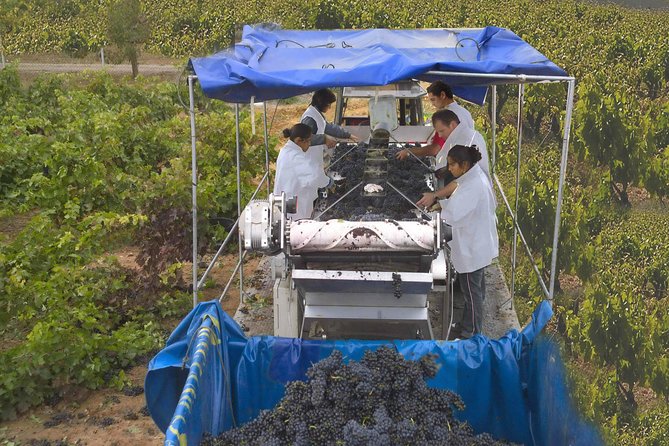 Rioja Wine Tour: 2 Wineries Visit With Tasting From San Sebastian - Taste Local Wine Varieties