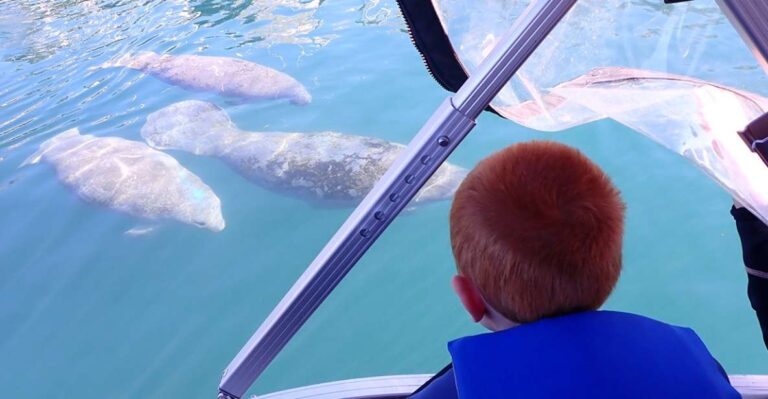 River Cruise With Manatee Viewing Activity Overview