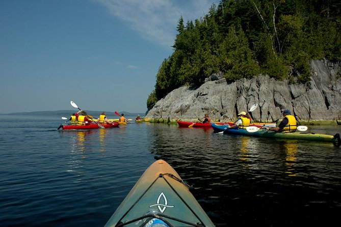 River Relics Kayaking Adventure Overview Of Saint Johns History