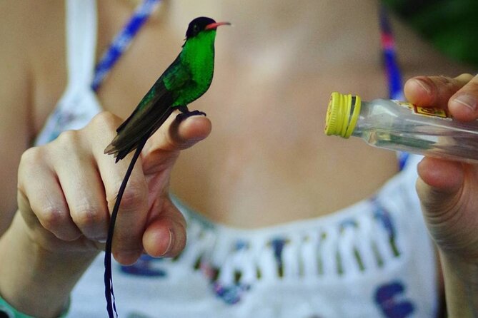 Rockland Bird Sanctuary Private Tour Included Amenities