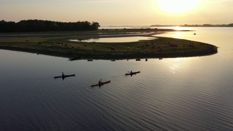 Roskilde: Guided Kayaking On Roskilde Fjord: Sunset Tour Tour Overview