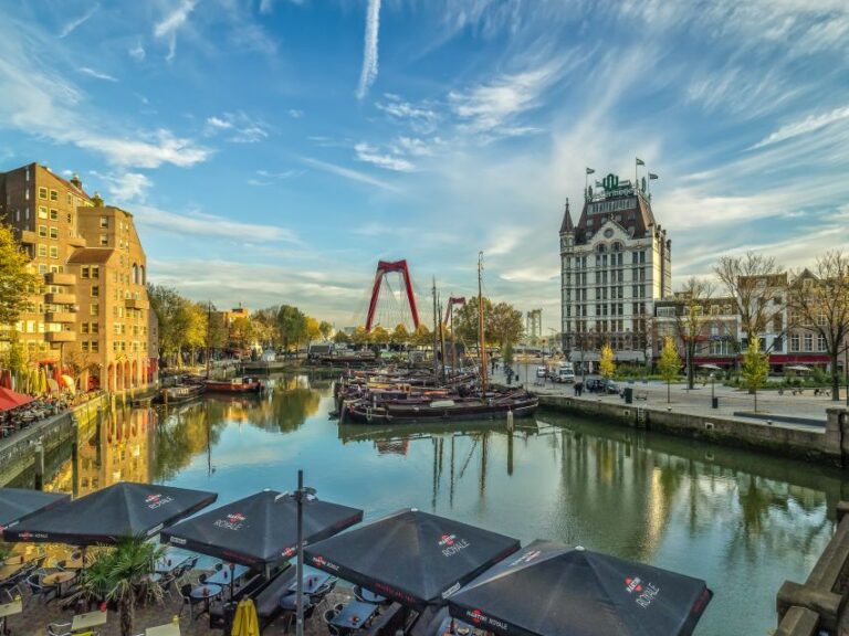 Rotterdam: 2 Hour Guided Walking Tour Tour Overview