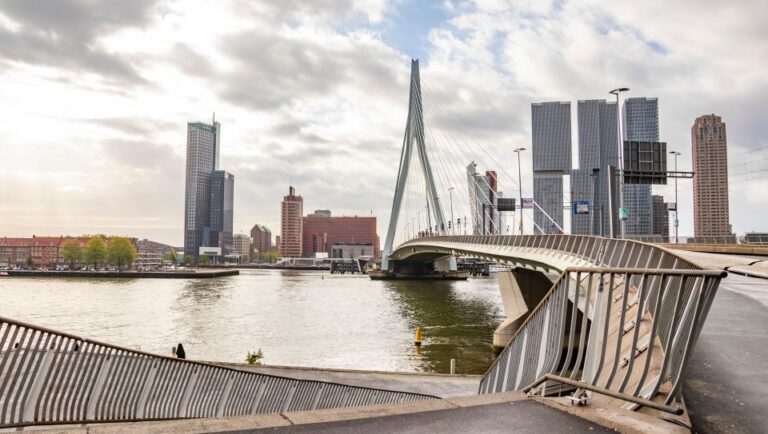 Rotterdam: Private Architecture Tour With A Local Expert Tour Overview