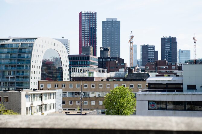 Rotterdam Rooftop Tour - Tour Details and Inclusions