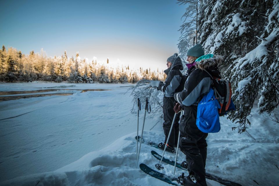 Rovaniemi: Backcountry Skiing Adventure - Preparing for the Adventure