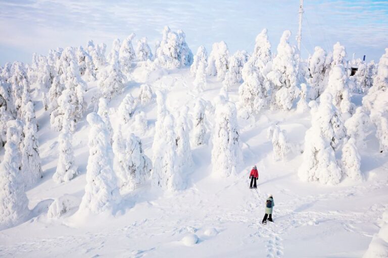 Rovaniemi: Hiking And Snowshoeing Adventure In Lapland Tour Overview