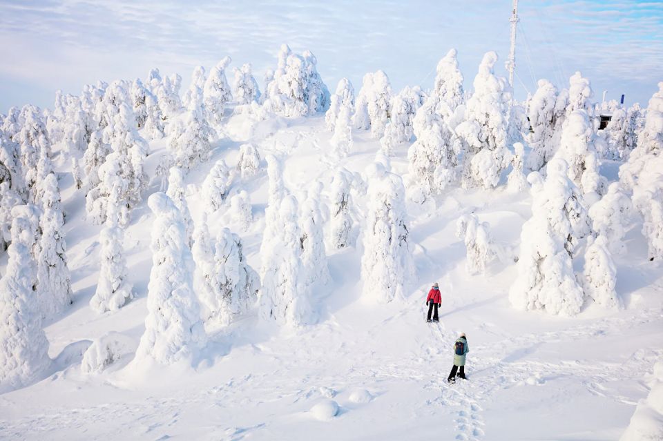 Rovaniemi: Hiking and Snowshoeing Adventure in Lapland - Tour Overview